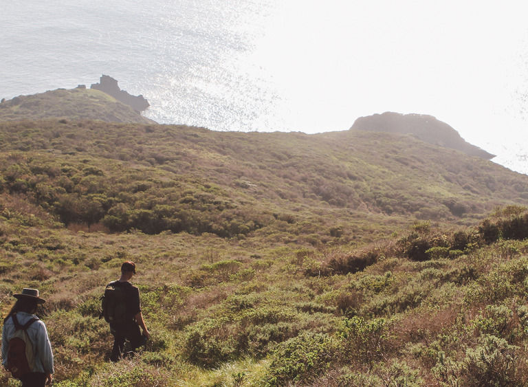 Image juniper ridge header